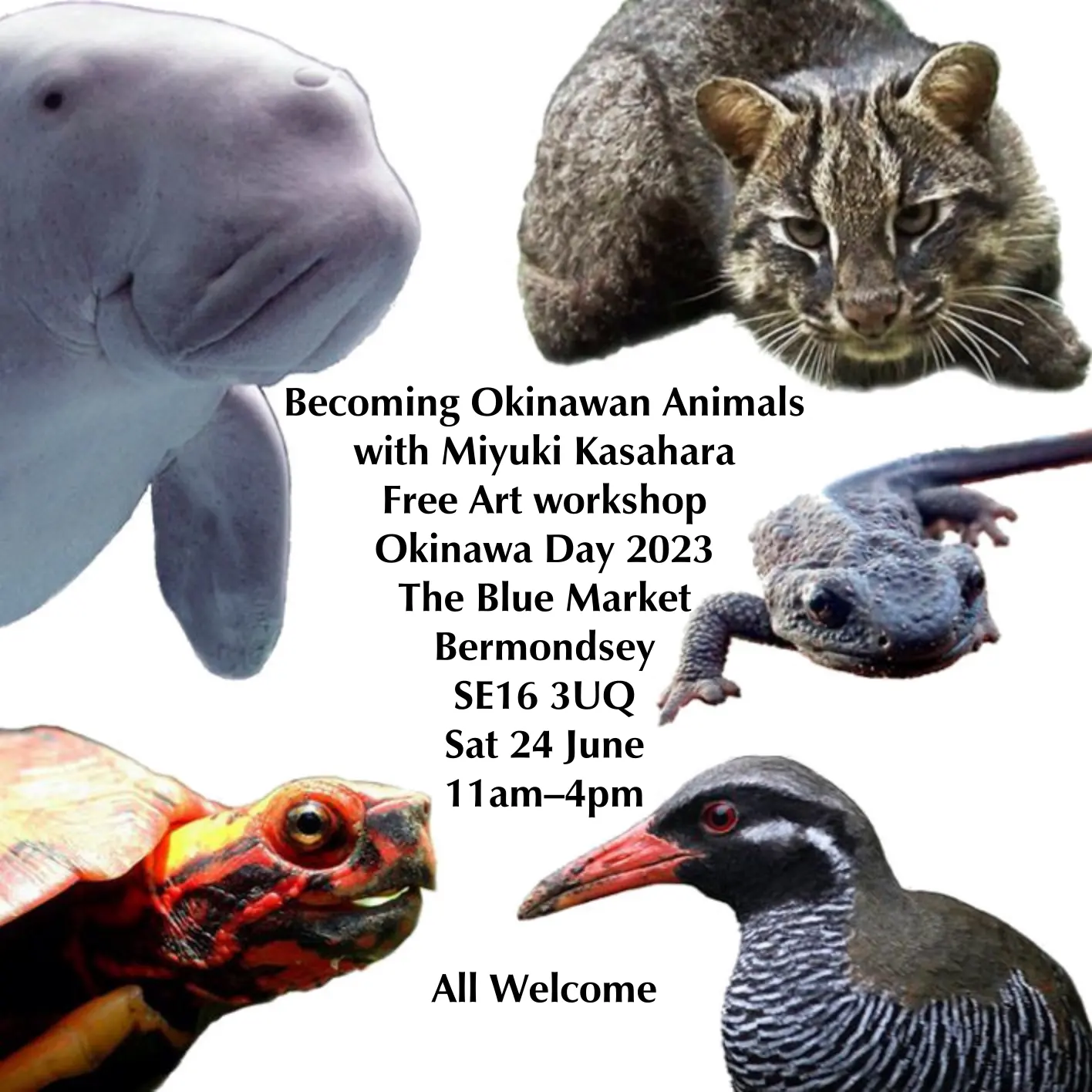 Becoming Okinawan Animals with Miyuki Kasahara. Free Art workshop 11am–4pm.
All Welcome